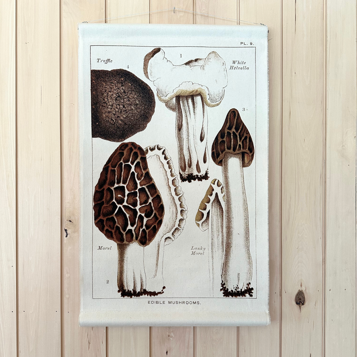 Canvas Wall Hanging - Morel Mushroom